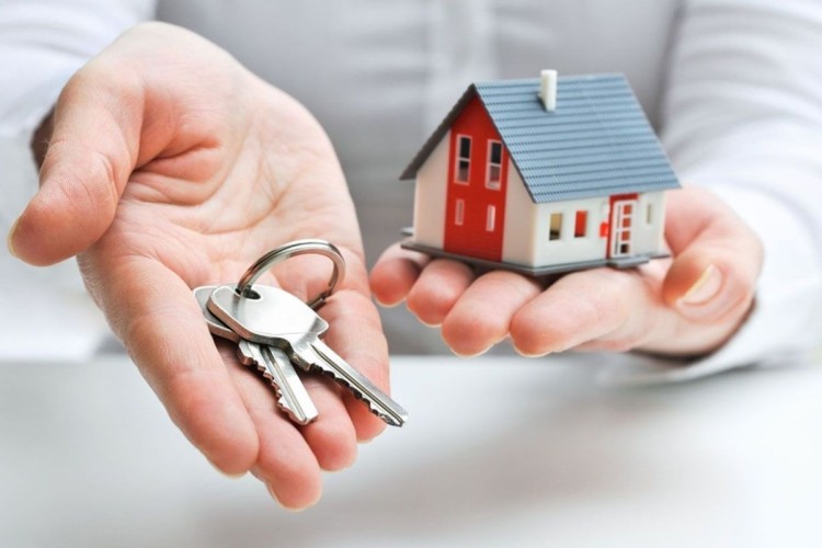 Property Dealers, Real Estate Agents & Rental Services